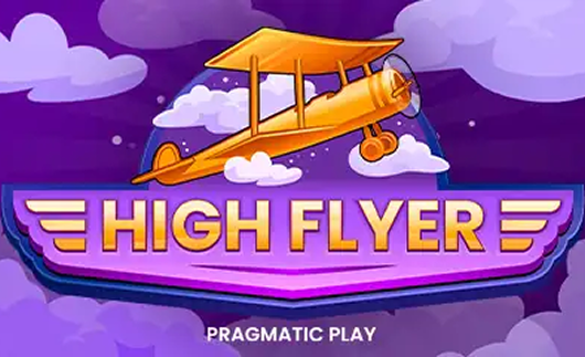 High Flyer Team